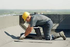 Best Asphalt Shingle Roofing  in Webb City, MO